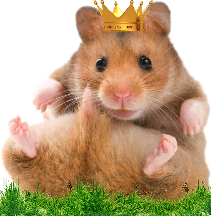 Dailyremix Hamster Crown Cute Sticker By Esta Dailyremix Hamster Crown Cute Sticker By Esta