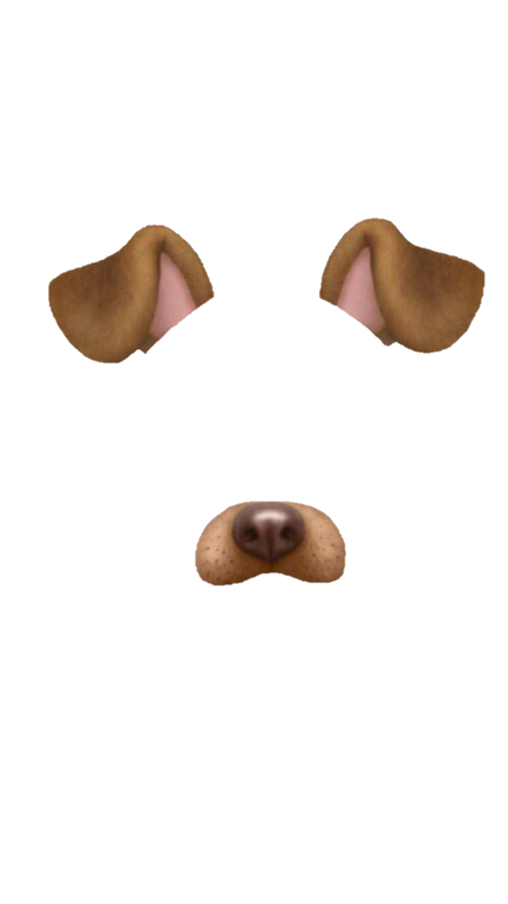 dog snapchat filters nofilters nofilter overlay icon...