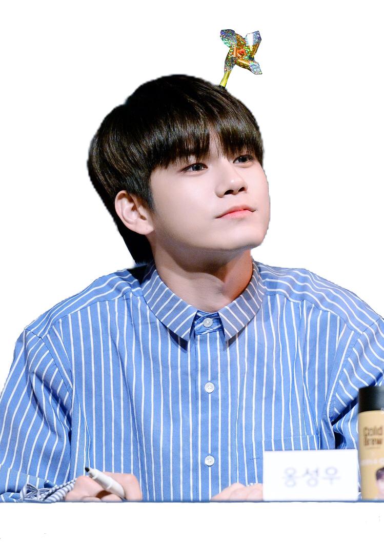 옹 성우 마이너 갤러리 ongseongwoo wannaone ong seongwoo ongseongwu 성우 옹 옹성우...
