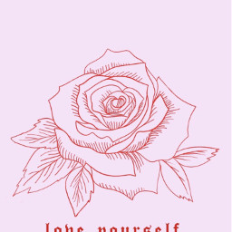pink aesthetic pastel roses loveyourself