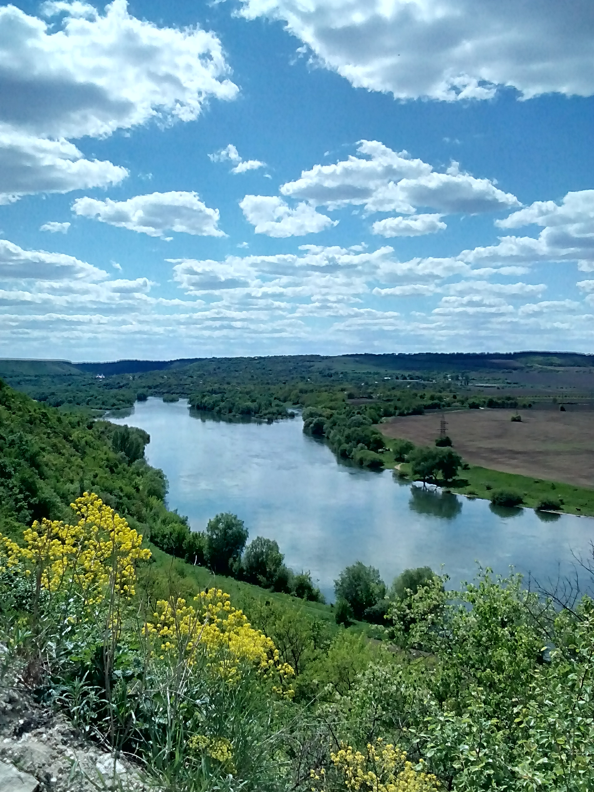 Река в молдове. Молдавия река Днестр. Днестр Приднестровье. Днестр природа Приднестровья. Река Нистру Молдова.