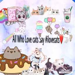 freetoedit lovethecats socute