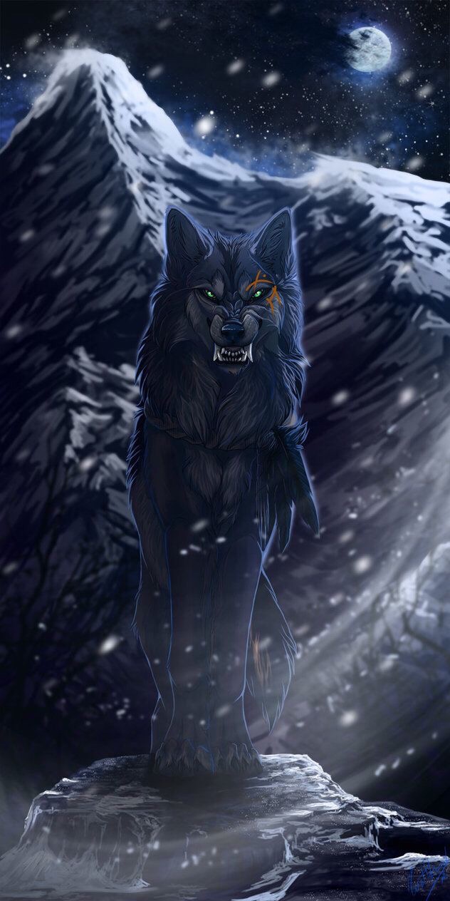 7859 Angry Black Wolf Images Stock Photos  Vectors  Shutterstock