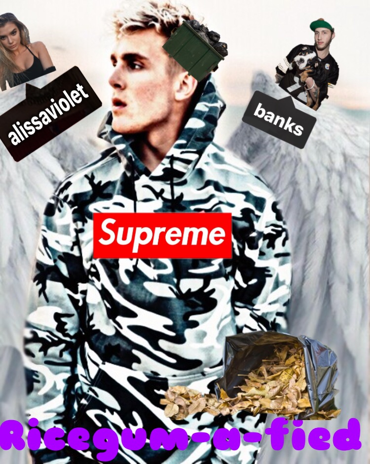 ricegum supreme hoodie