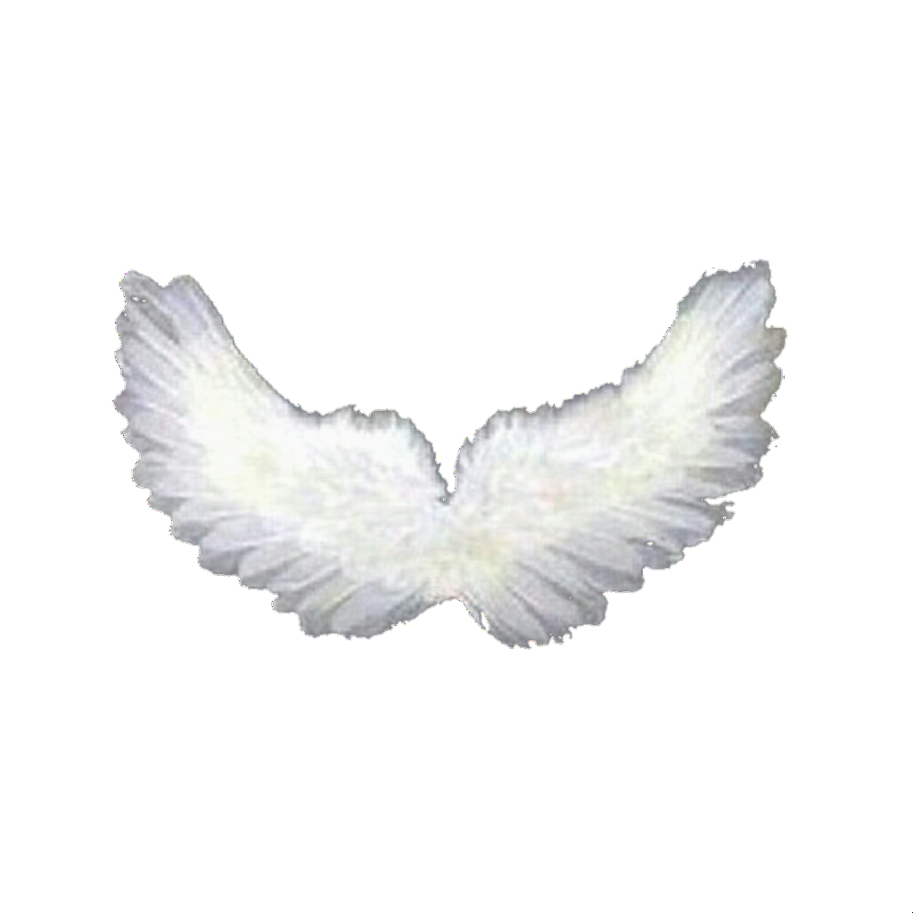 overlay overlays wings wing angel resource resources...