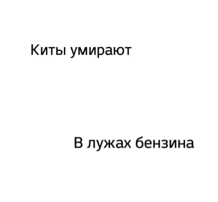 Текст киты в лужах бензина. Киты в лужах бензина. Киты тонут в лужах бензина. Кит в луже бензина Эстетика. В бензиновой луже текст.