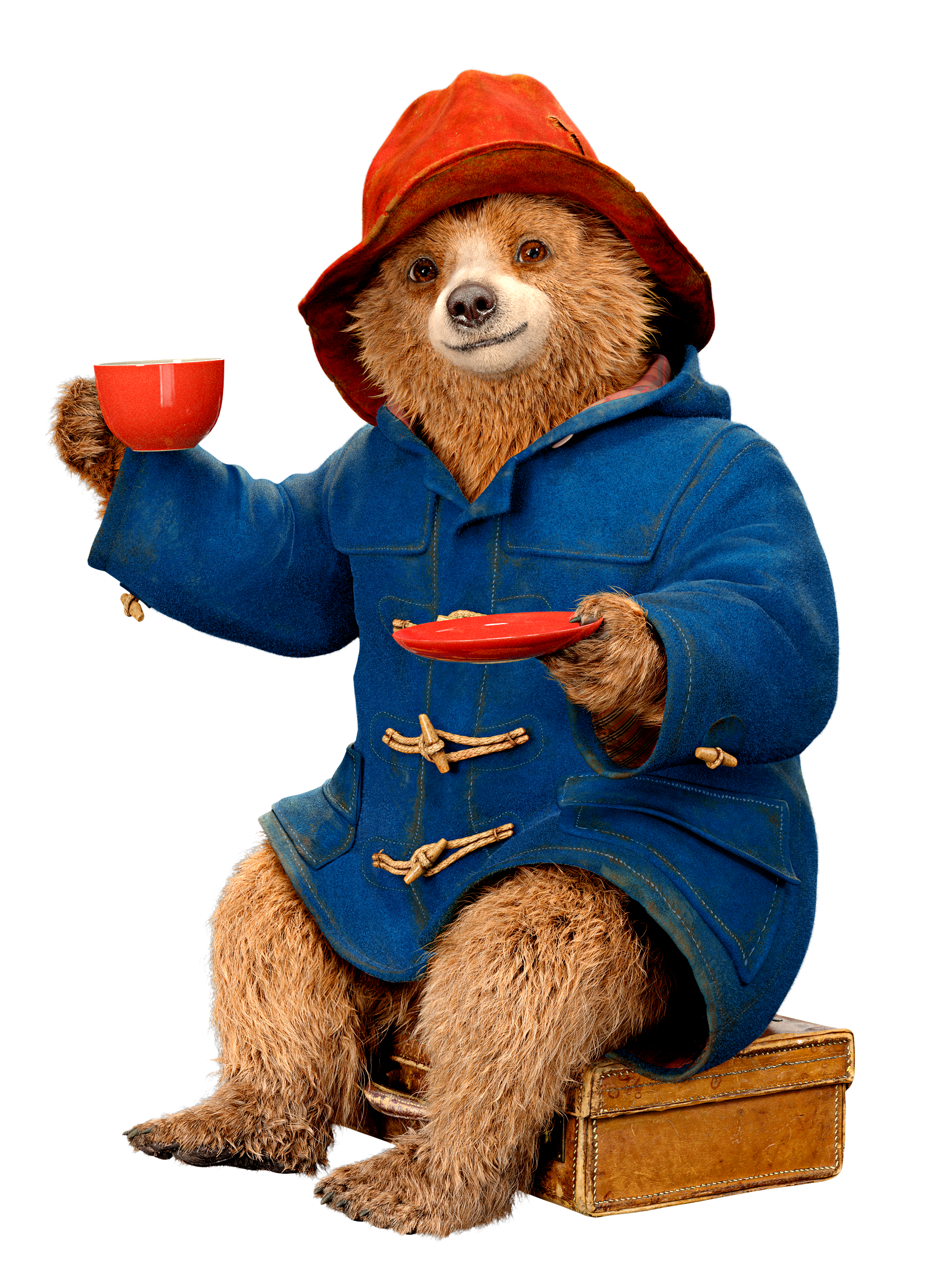 This visual is about paddington paddingtonbear bear hat redhat freetoedit #paddington...
