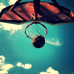 freetoedit basketball basketballhoop dailyinspiration