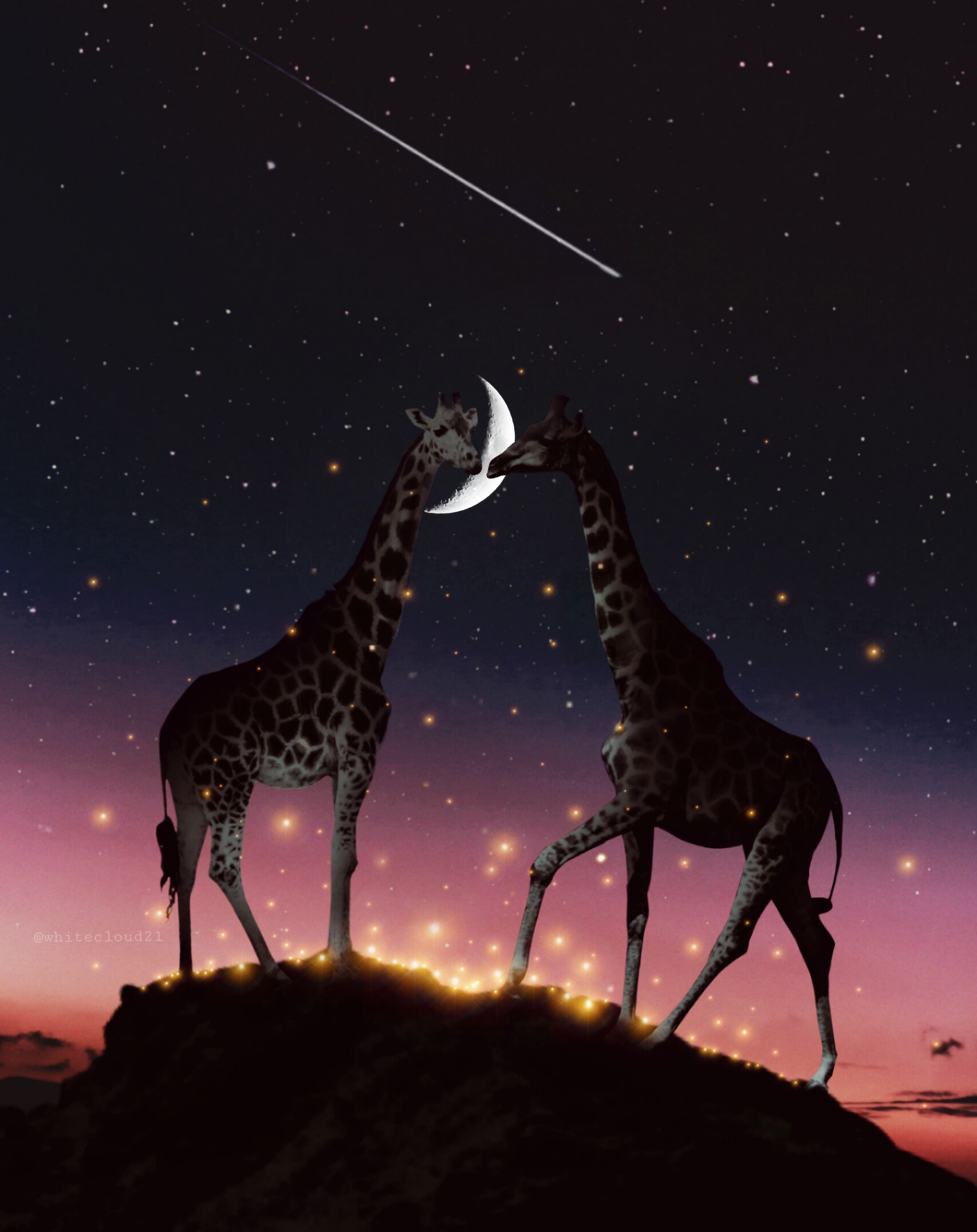 ??✨ #freetoedit #vipbrushtool #giraffe #madewithpicsart #madebyme #night #lights #firefly #animals #love #valentinesday #myedit @picsart 