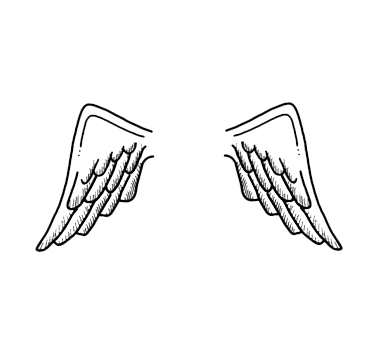 wallpapers Emoji De Asas asa asas tumblr kpop kawaii wings wing