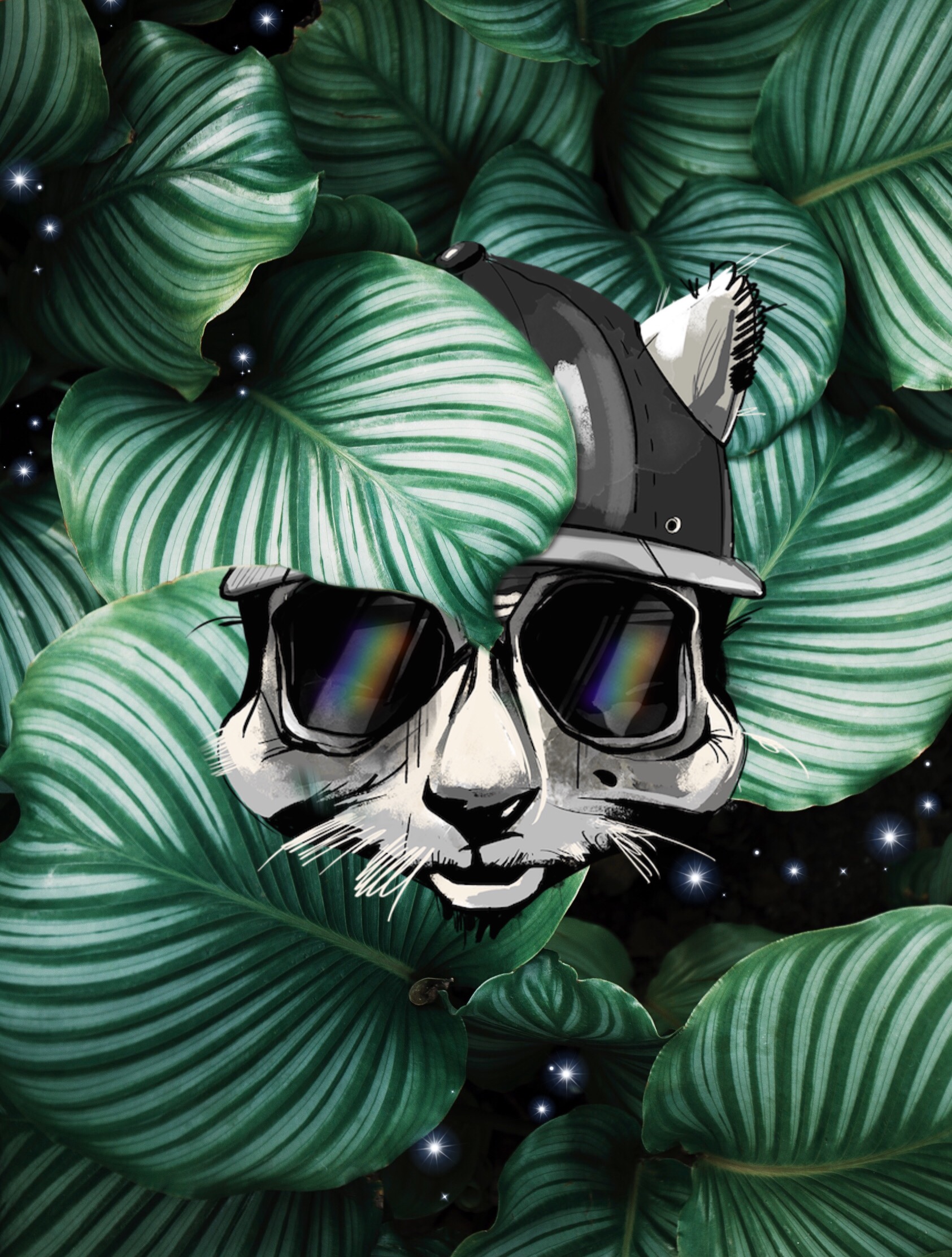 Coolcat Similar Hashtags Picsart