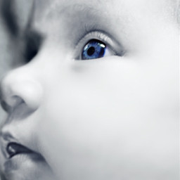 baby babygirl blackandwhite blueeyes cute freetoedit