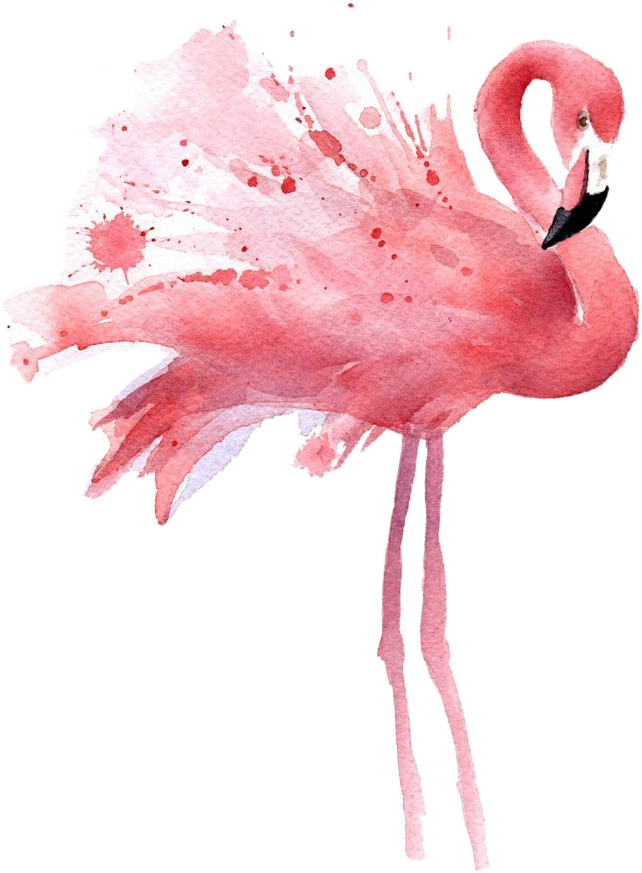 Download flamingo watercolor freetoedit - Sticker by Qwerty