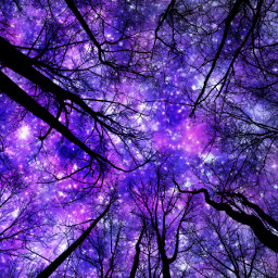sky trees black stars purple