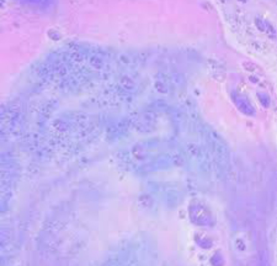 背景 泡 紫 ふわふわ かわいい ゆめかわいい オシャレ Image By Me