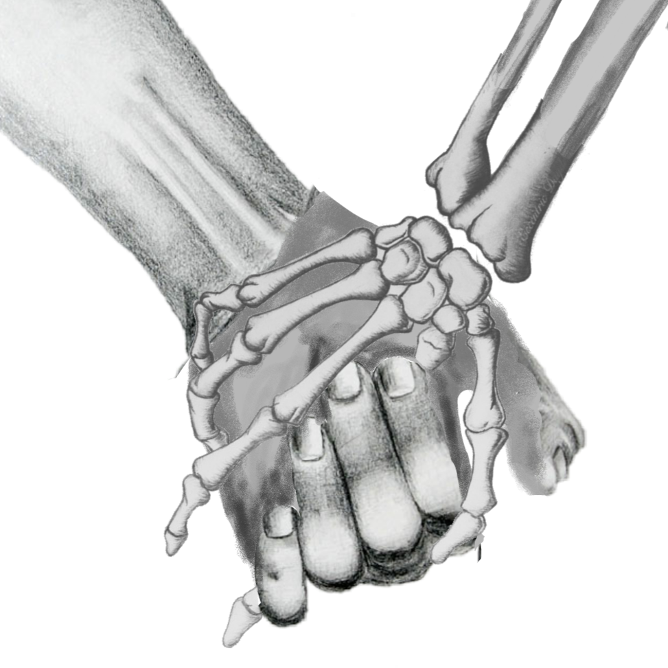 This visual is about holdinghands skeleton freetoedit #holdinghands #skelet...