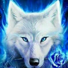 Picsart profile picture for @redwolf25