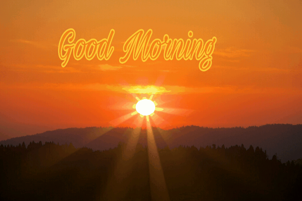 Rising Sun Good Morning Sunrise Gif - Animaltree