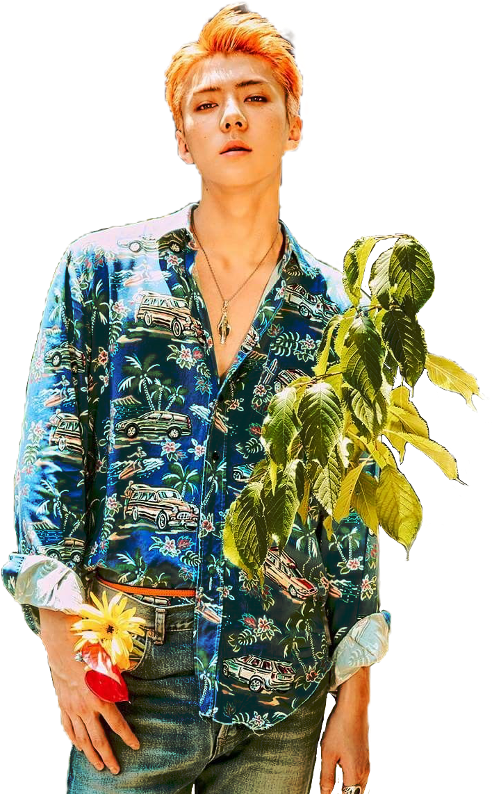 exo kokobop sehun freetoedit sticker by imma