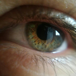 freetoedit eye green pupil close