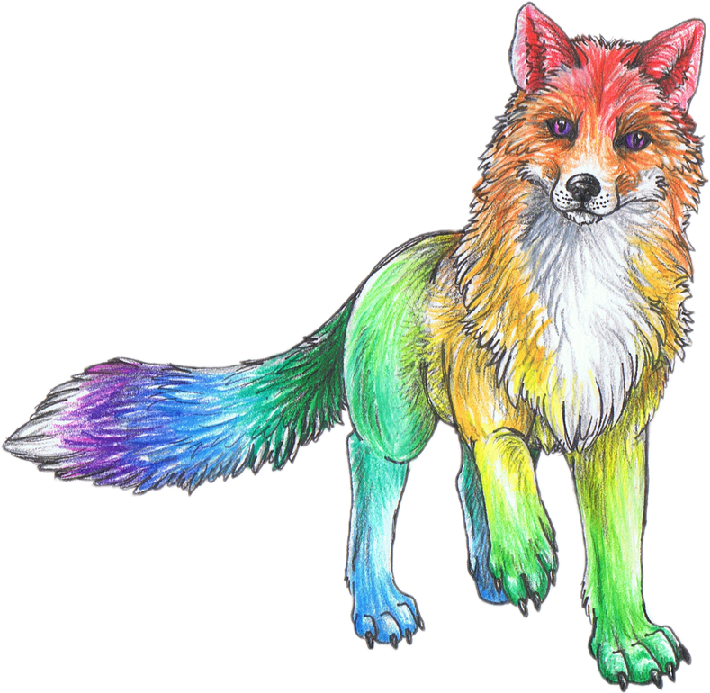 rainbow cute animal animals sketch art drawing colorful...