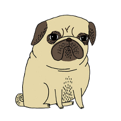 pug dog sticker cute cachorro freetoedit