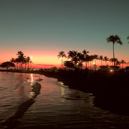 pcsunset sunset beach ocean palmtrees