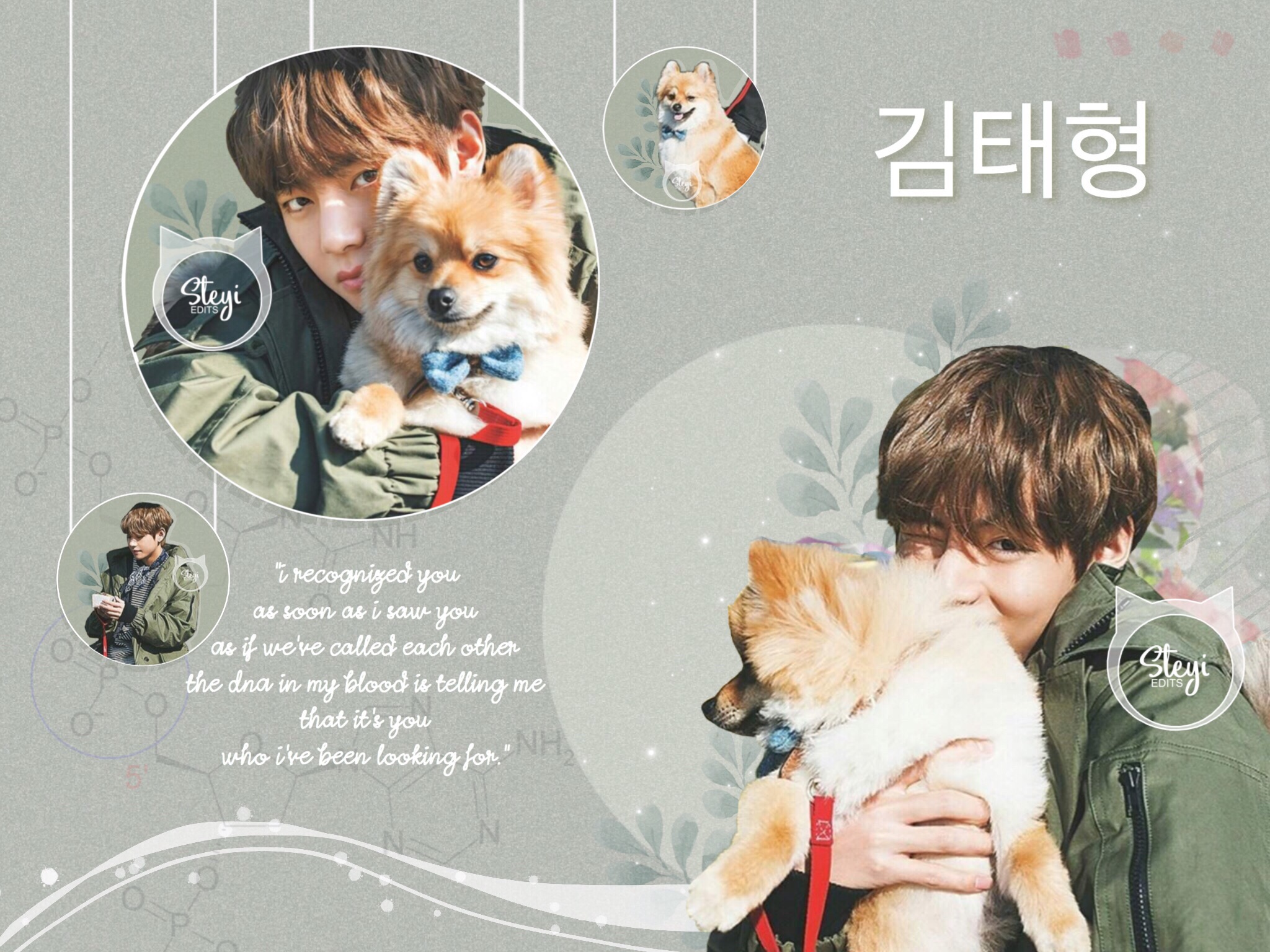 kpopedits edits kpopedit edit kpop If any of image by @steyi