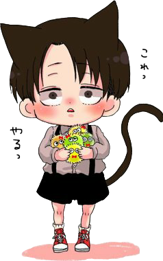 levi chibi cat