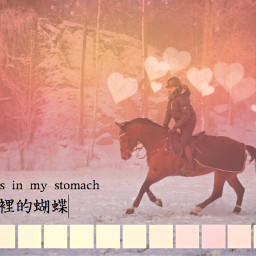 freetoedit horse hearts gradient quote