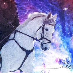 freetoedit horse snow galaxy space