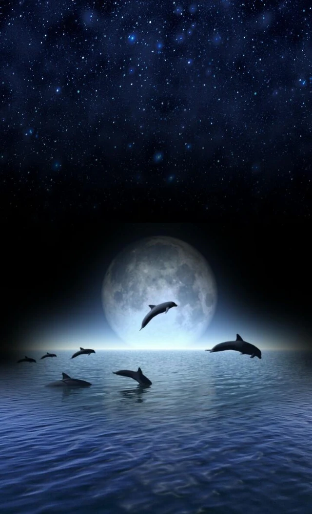 夜空 星空 月 満月 イルカ 幻想 幻想的 背景 Image By Nozomii 共通年パスgetせず 夜空 星空 月 満月 イルカ 幻想 幻想的 背景 Image By Nozomii 共通年パスgetせず