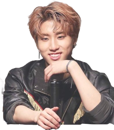 straykidssticker Stray Kids Han Jisung freetoedit...