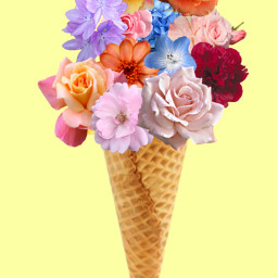 freetoedit icecream flower color summer