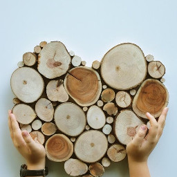 pcwooden wooden wood bynisha freetoedit
