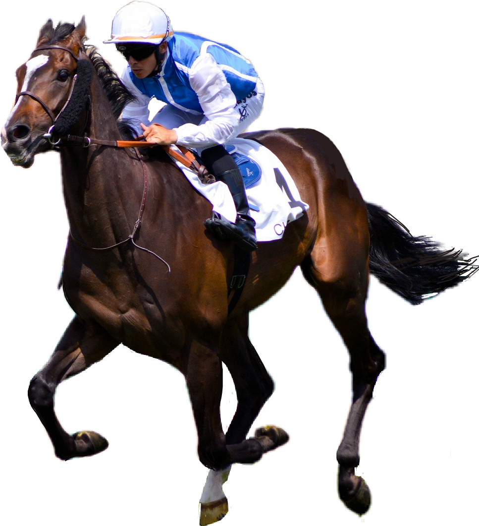 horseracing, jockey, horse - Sticker by deeJ