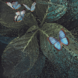 plant butterfly freetoedit