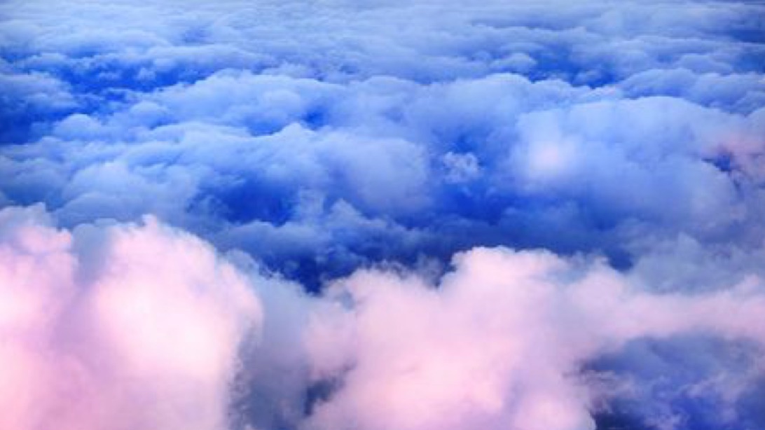 Picsart banner for @allergies