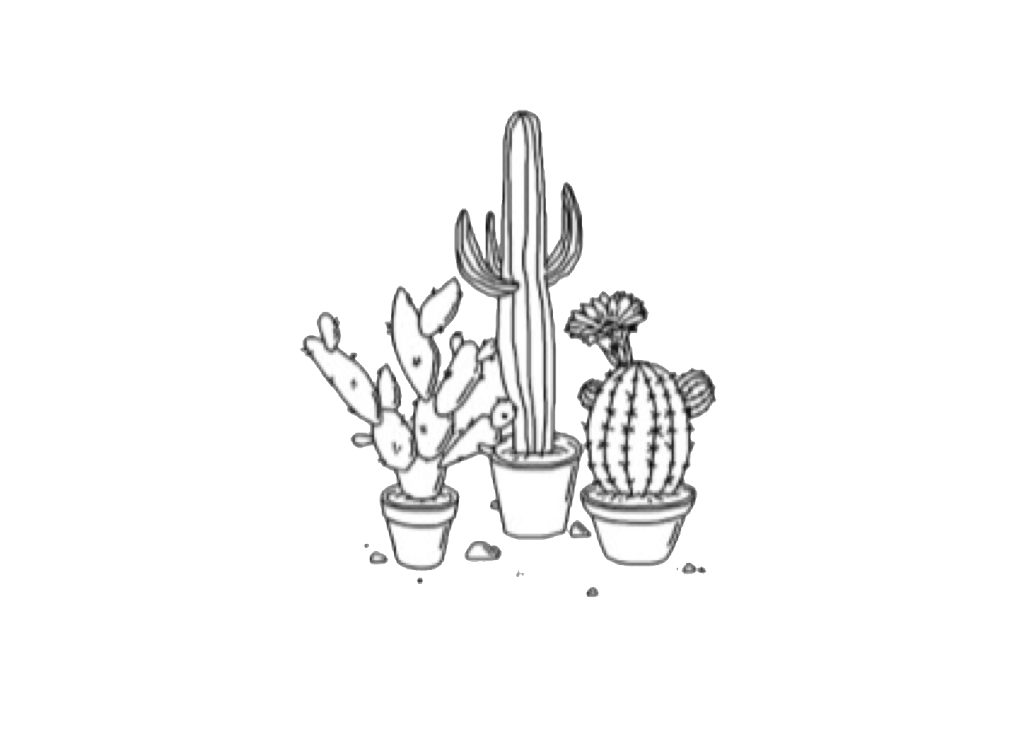 cactus tumblr drawing plants edit freetoedit...