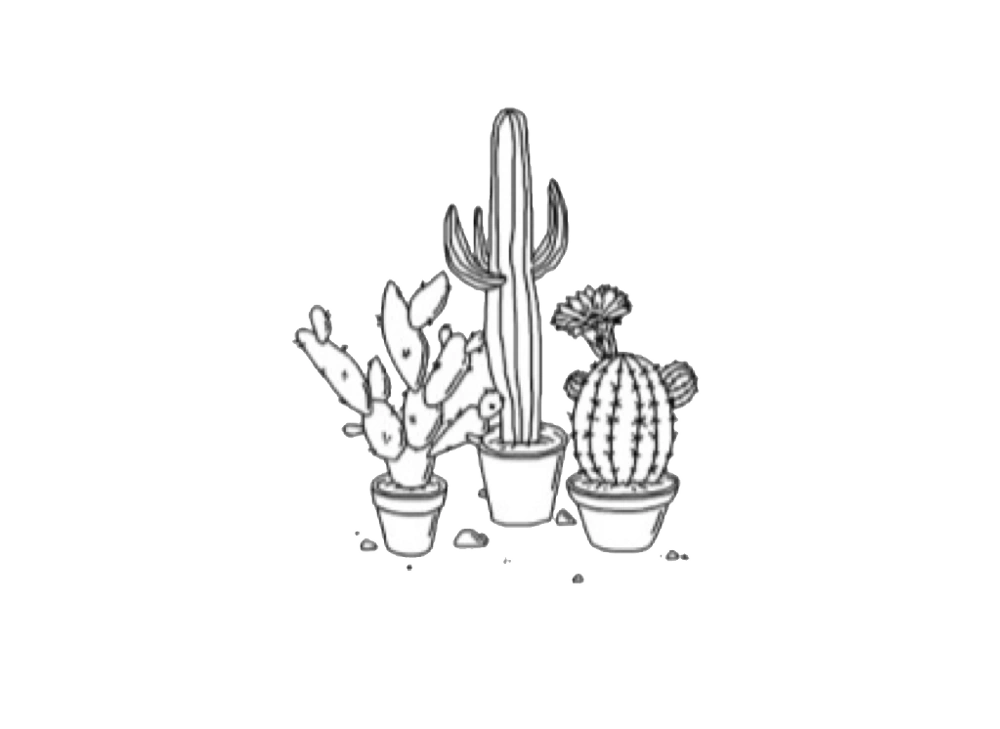#cactus #tumblr #drawing #plants