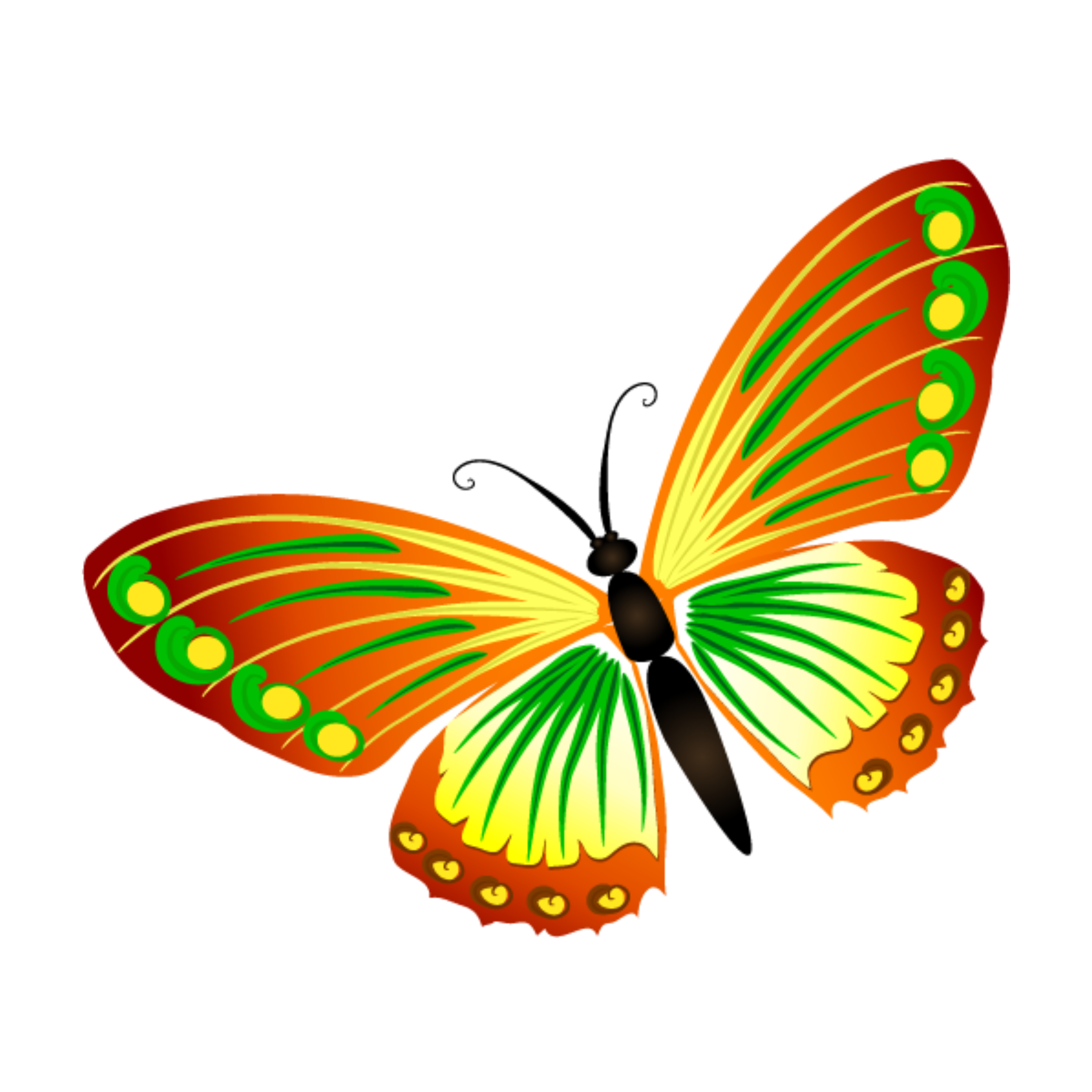 Бабочка в садик. Бабочка рисунок. Цветные бабочки для детей. Бабочка картинка для детей. Бабочка рисунок для детей.
