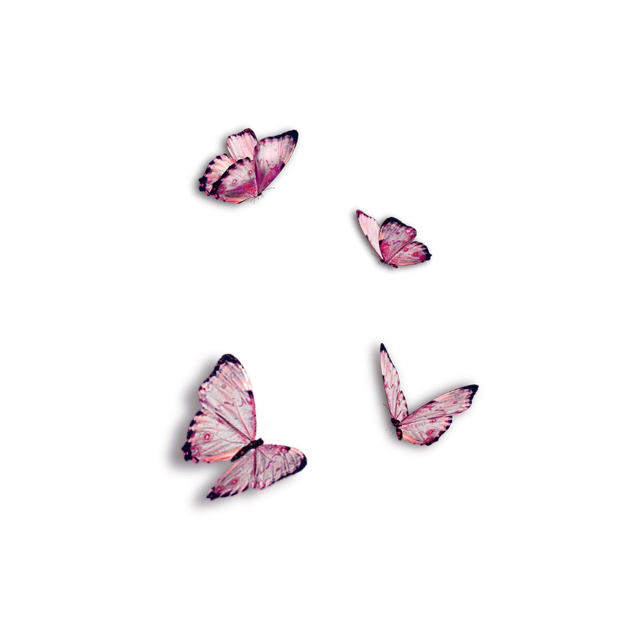 Papillons Papillon Rose Aile Sticker By Celiamltx Papillons Papillon Rose Aile Sticker By Celiamltx