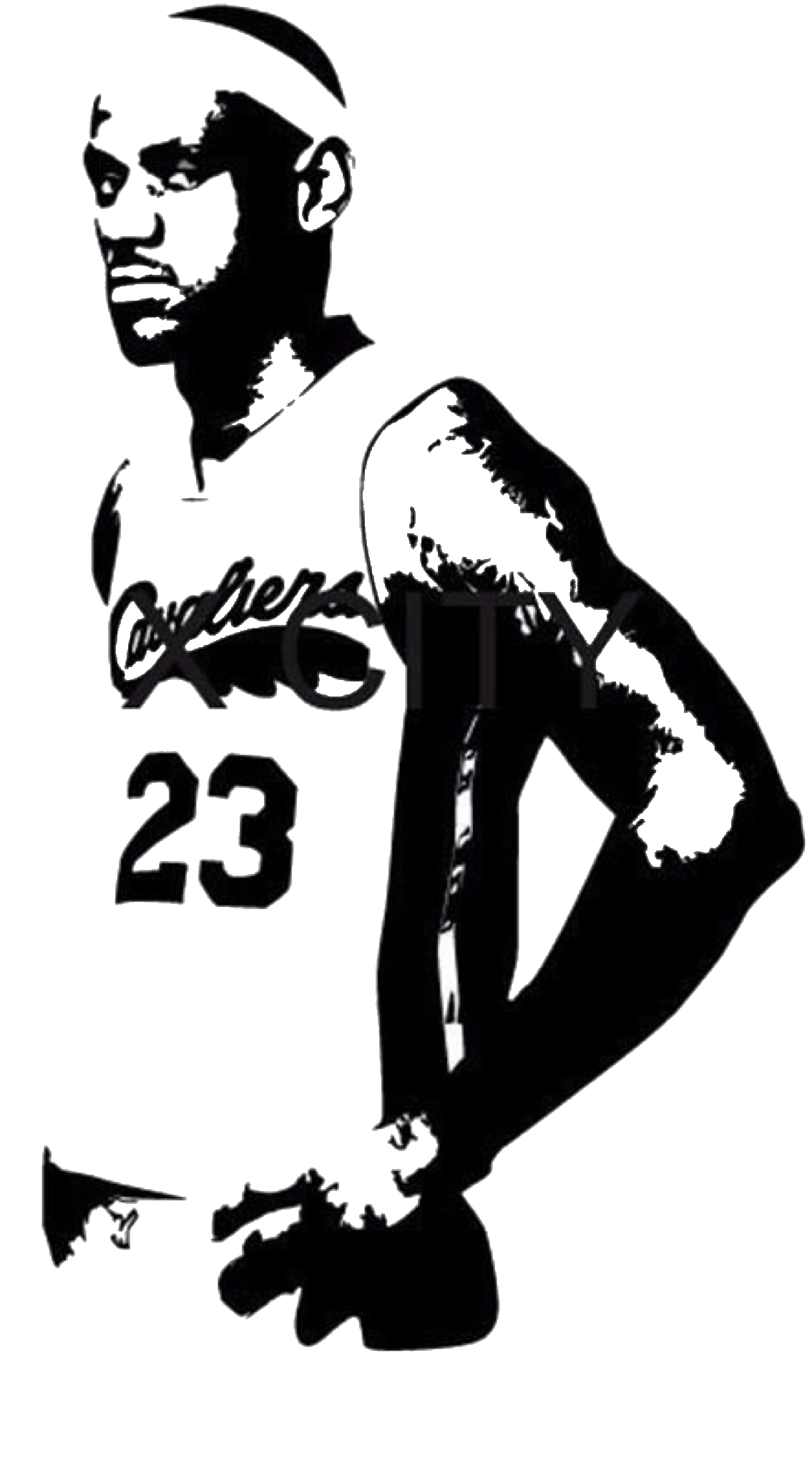 lebron 23 cavs cavaliers freetoedit sticker by @kelybely