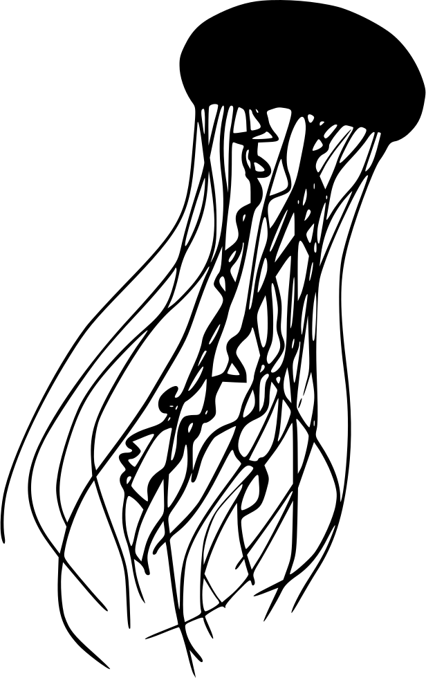 Jellyfish Drawing Silhouette