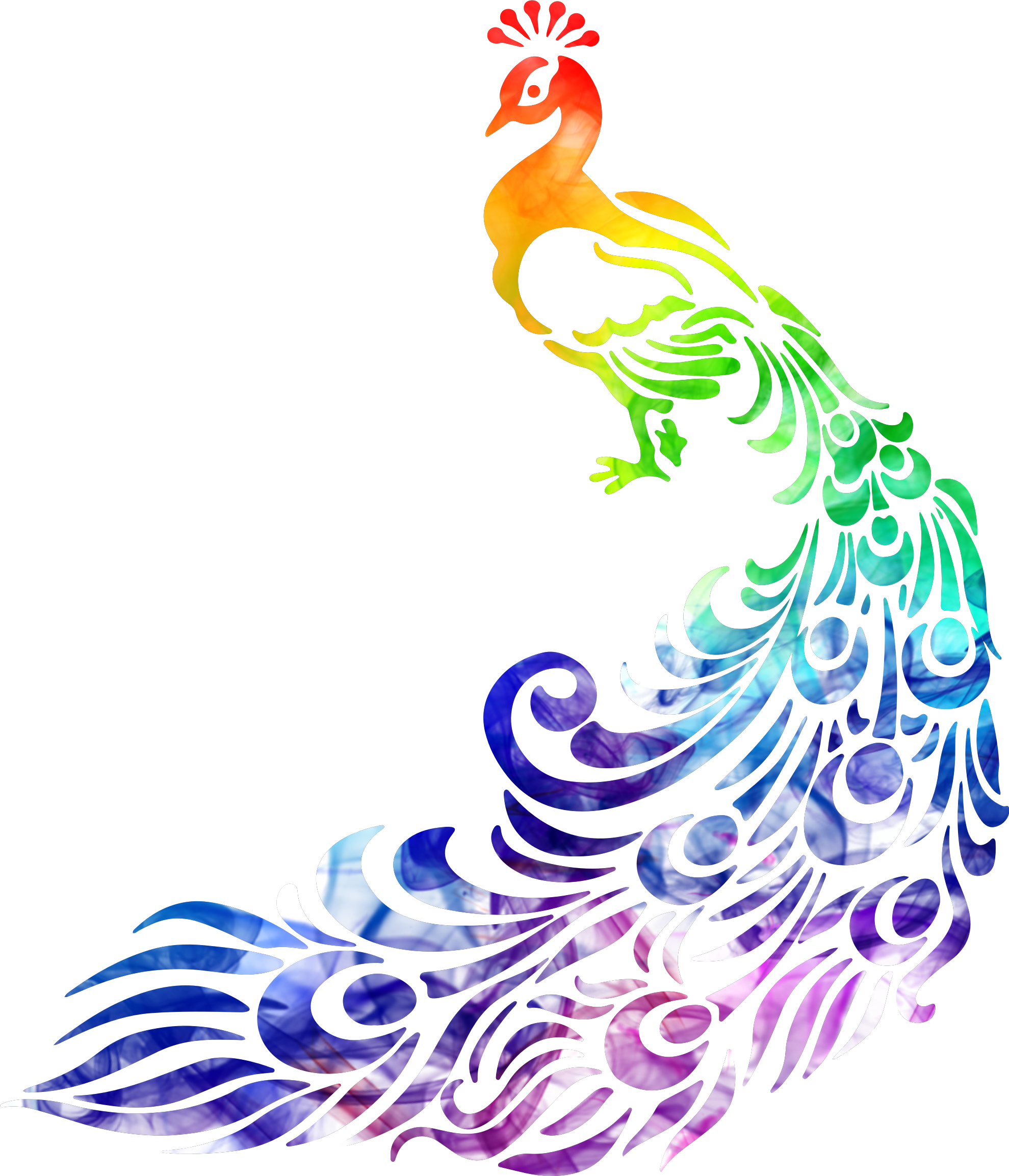 peacock rainbow freetoedit scpeacock sticker by @xxxthexxx