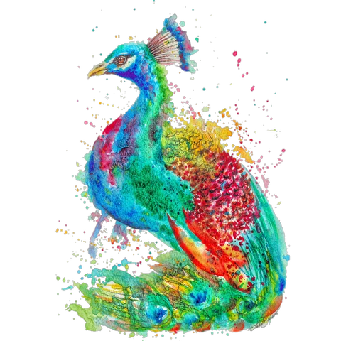 Peacock Sticker Challenge on Picsart Peacock Sticker Challenge on Picsart