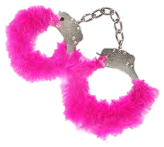 Handcuffs Fuzzy Pink Sticker By Craig