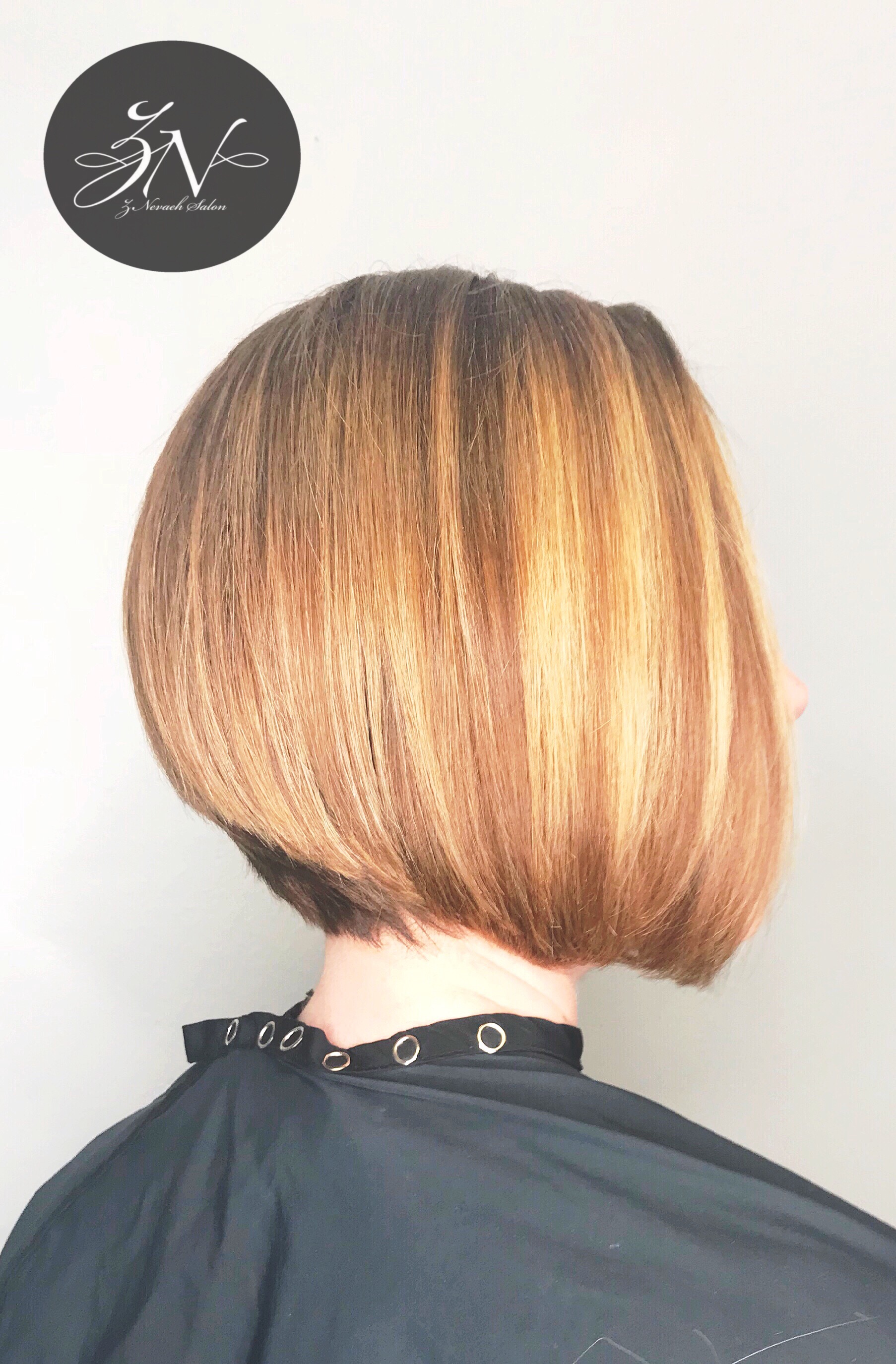 Precision Haircut Dimensional Color Znevaehsalon Sal