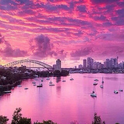 freetoedit pink bridge city sunset