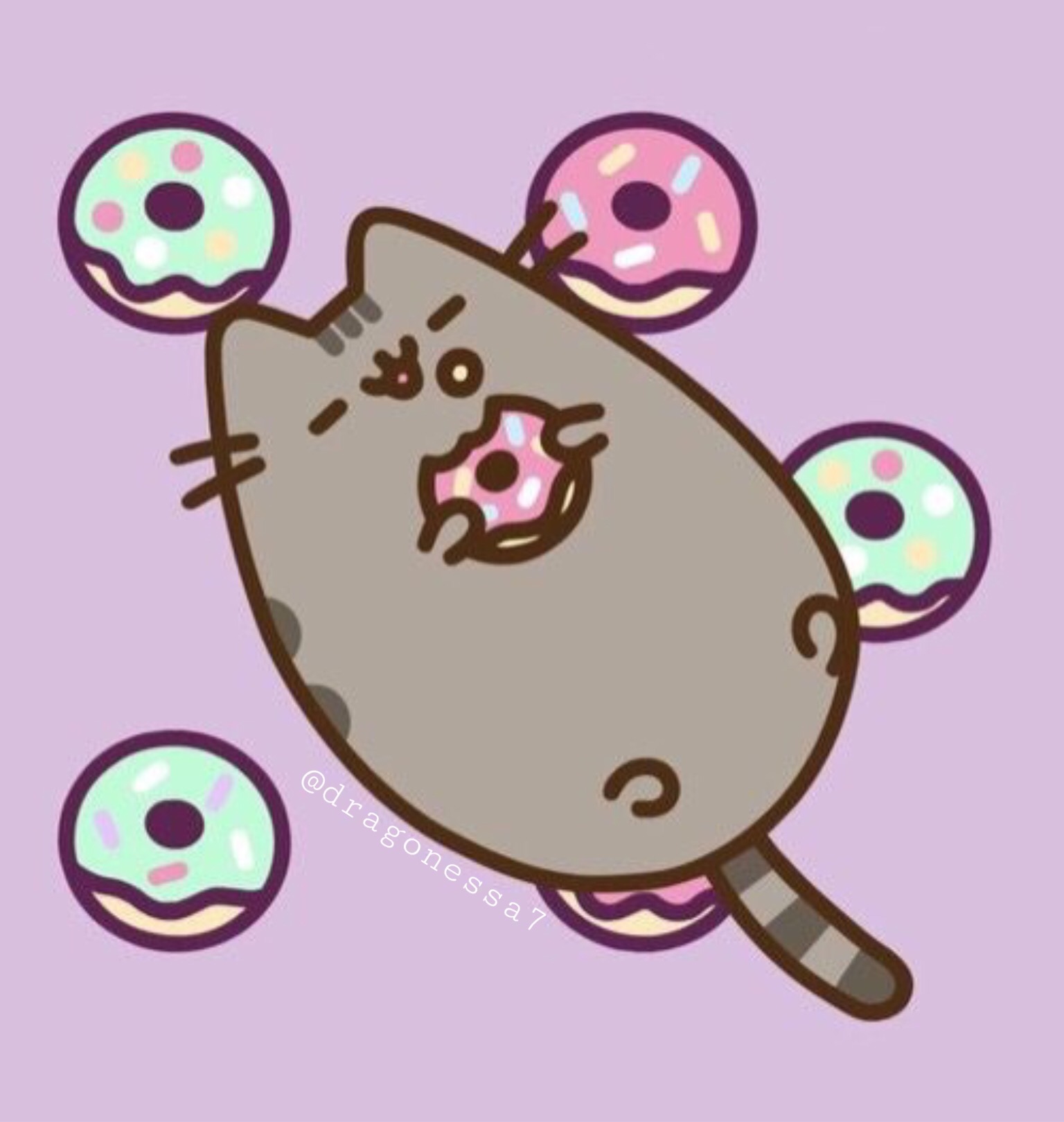 pusheen cat donut